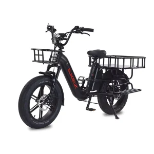 G15 1500W 20inch Fat Tire Electric Bike 48V 33Ah Dual Battery 7 Speed Hydraulic Brake Off Road E Bike for Adults
