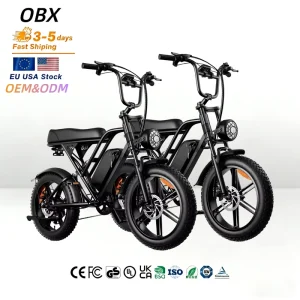 G60 20inch Fat Tire Electric Mountain Bike 1500W Rear Hub Motor Lithium Battery High Speed