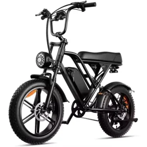 G60 Powerful 750W Brushless Motor 48V 20AH Fat Tire Electric Mountain Bike For Adult Mountain Adventure