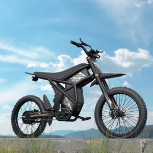 GT73PRO Fat Bike Electric Bicycle Motor Adult for US 3000W for EU 250W 60V 36.4Ah Electric Dirt Bike