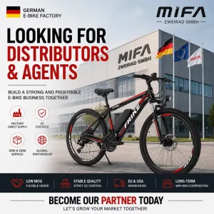 German E Bike Factory Looking for Distributors 250W Electric Mountain Bike OEM ODM CE Certified EU Warehouse