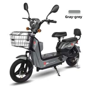 Golden Eagle Adult Two-Wheel Electric City Bike 48V Battery Vehicle Manufactured Source