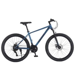 Good Quality 21 Speed Bicicleta Sport Cycling Bicycle Mountain Bike for Men