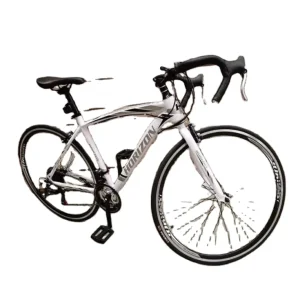 Good Quality Road Bike 21 Speed Cycling Bike for Men