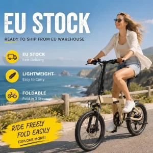 H19 Folding Fat Tire Ebike 250W 36V Lithium Battery 25KM H Dual Suspension Electric Bicycle