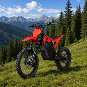 HIGHPER 7500W Electric Enduro Dirt Bike with 19/17 Inch Tires and Hydraulic Brake