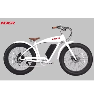Halley 26 Inch Tire 750W Snow Beach Cruiser Electric Fat Bike