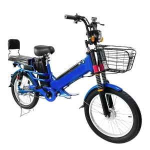 Heavy Load Electric Cargo Bicycle