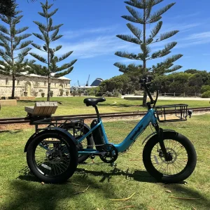 Heavy duty Carrying Rear Fat Tire Three Wheels Electric Bike Adult Electric Tricycle With 7 speed Derailleur