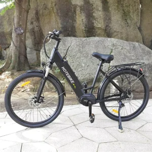 Hidden Frame 36V M200 Mid Drive Motor 27.5 Inch Full Suspension Ebike OEM Electric Mountain Bike Electric Bike 250w