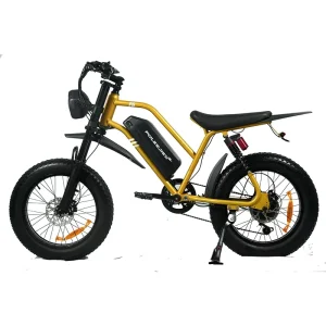 High Brushless Lithium Electric Bike for Adults Fat Tire Full Suspension Aluminum Alloy Frame Mountain Bicycle