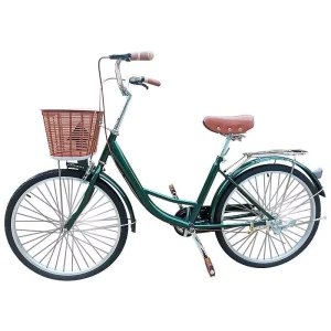 High Carbon Steel 20-Inch Urban Commuter Three-Speed Bicycle Retro Princess Design with 3 Gears