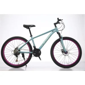 High Carbon Steel Bicycles 21speed Mountain Bike Full Suspension Mountain Bike for Men