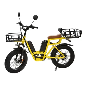 High Carbon Steel Disc Brake Single Speed 20 Inch Fat Tire 750W 48V 30Ah Lithium Battery Cargo Electric Bike for Courier