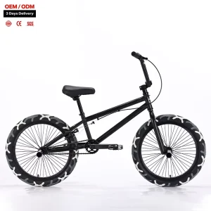 High Carbon Steel Frame BMX Bike Freestyle Street Youth and Adult Mountain Bicycle 20 Inch Cycle for Men