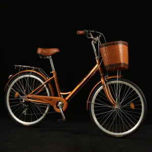 High Carbon Steel Frame City Bicycle 24/26 Inch Single Speed Adult Urban Riding Bike