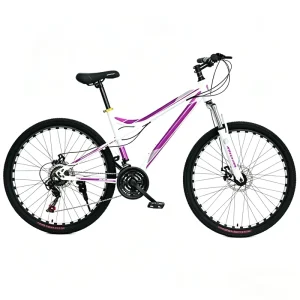 High Carbon Steel Frame Mountain Bike with Dual Disc Brakes Adult Off-Road Bicycle Supplied by Chinese Factory