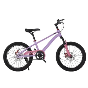 High Carbon Steel Single Speed 20 22 24 Inch Bicycle for Kids of 10 14 Years Boy and Girl Student Mountain Bike