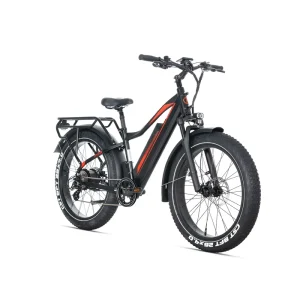 High Efficiency Electric Mountain Bike 48V 250W Bafang Motor Lightweight Frame Gears for Trail and City