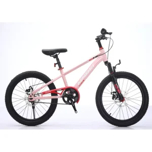 High End Kids MTB with Red Rotary Disc Brake Argon Arc Welding Internal Cable Bike 20 22 Inch Mountain Bicycle
