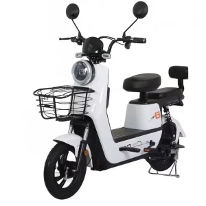 High Performance Electric Bicycles for Adults