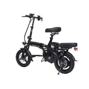 High Power Electric Bicycle for Adults Open-Type China’s Electric Bike