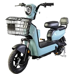 High Power Electric Scooter Full Suspension Mountain Ebike 48v Electric Bicycle Electric Motor Bike