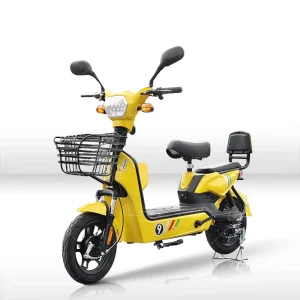 High Power High Speed Electric Bike 48V 20AH Electric Motorcycle Electric Bicycle 14 Inch Charging Cycles