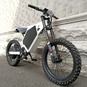 High Powerful Fat Tire Ebike 15000 12000 5000 3000 21inch Fatbike City Bike for Adults