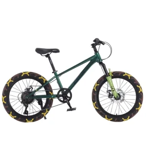 High Quality 20 Inch Steel Frame Steel Fork BMX Bike Single Speed Bicicleta Cycle 2.35 Pattern Tire BMX Bike for Adult