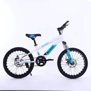 High Quality 22 Inch Children Mountain Bike Steel Single Speed