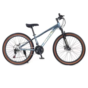 High Quality 24/26 Inch Men’s Mountain Bike Bicycle 21 Speeds with Steel Fork