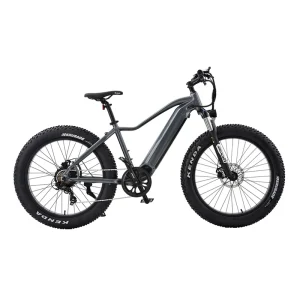 High Quality 48V 750W Electric Adult Bike New Design 26 Inch Fat Tire Electric City Bike