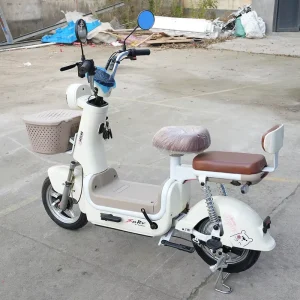 High Quality Chargeable Electric Off-road Motorcycle City Electric Bike Road Bicycle