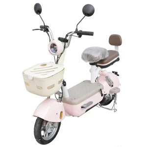 High Quality City Electric Adult Motorcycle Electric Off road Motorcycle Electric Bike for Adult
