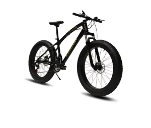 High Quality Cruiser Fat Tire Mountain Bikes 21 Speeds Disc Brake System Aluminum Alloy Fork