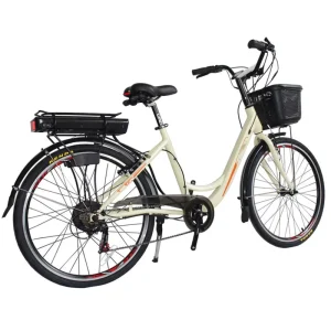 High Quality Electric Mountain Bike for Adults Electric Bikes for Adults Hybrid Electric City Bike Bicicleta Electrica