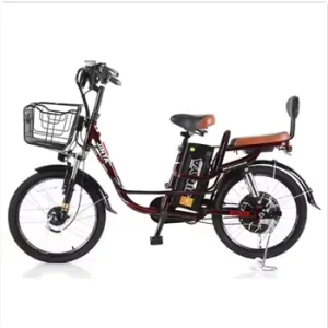 High Quality Electronic Digital Electric Bikes for Adults Fashionable 48v High Speed Rear Hub Electric Bikes