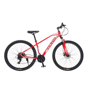 High-Quality High-Carbon Steel 29-inch Adult Touring Mountain Bikes – Factory & Customization