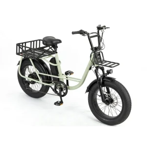 High Quality Long Range Multifunctional Ebike Electric Fat Tire Cargo Bike Electric Bike