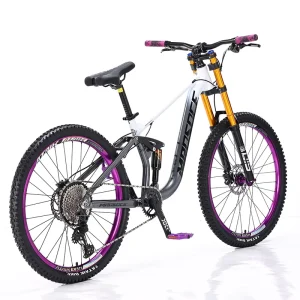 High Quality Ordinary Pedal Downhill Mountain Adult Bike Shock Absorption Soft Tail Bicycle Sport Style Mountain Bike