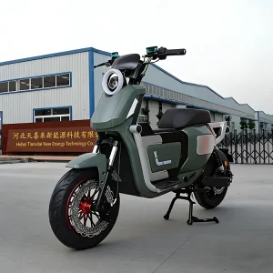 High Speed 1500W Rear Hub Motor Adult Electric Moped Motorcycle with Steel Frame 48V Lithium Battery Long Range China