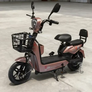 High Speed 3-Speed Electric City Bike for Adults with Large-Capacity Electric Bicycle Lead Acid Battery Brushless Motor