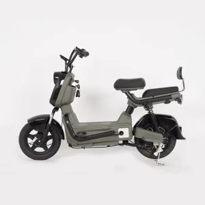 High-Speed 300W/500W Rear Hub Motor Lithium Battery Powered Electric City Bike Front Hydraulic Damping Electric Motorcycle