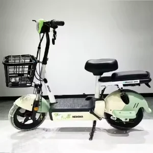 High Speed Electric Bike with 48v Motor Powerful Fat Tire Cycle Adults Smart Sensor Type Electric Bicycle