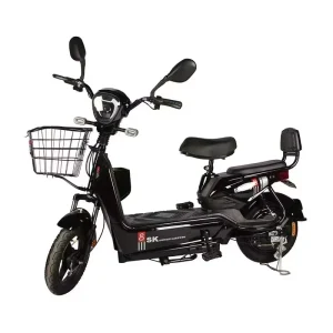 High Speed Electric Bike with Powerful 48v China Motor Fat Tire Electric Cycle Electric Bikes