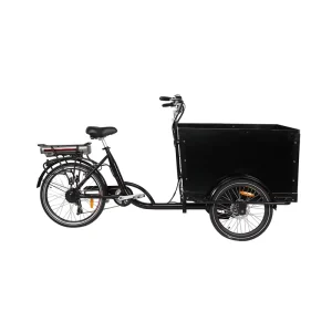 High quality 500W Electric Cargo Tricycles Tricicle Cargo Bike