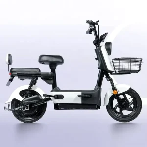 High quality Adult Electric Bicycles Brushless Motor Carbon Steel Frame 3 Speed Gears Electronic Features. Prices European
