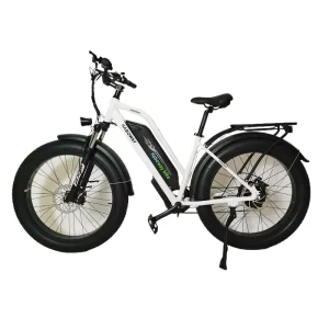 High quality Electric Bicycles for Adults Manufacturer Electric Bike 1000W for Mountain