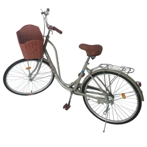 Holland Style Dutch Bicycle 26 Inch City Bike Bicycles Lady Bikes for Women Bicicleta Ladies Cycle